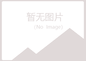 银川夏岚能源有限公司